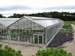greenhouse