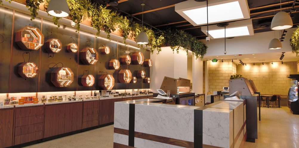 cannabis retail fixture financing