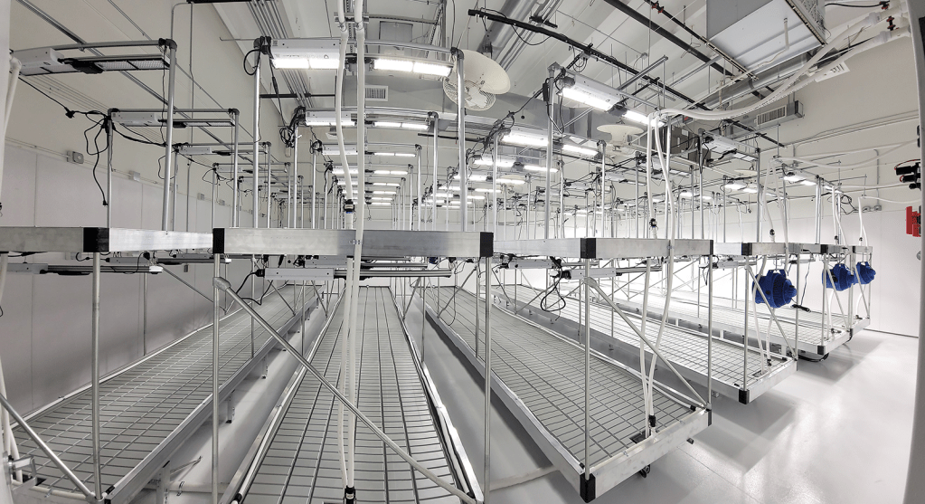 Cannabis facility construction