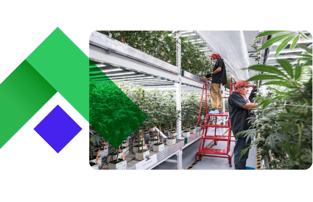 cannabis facility construction financing