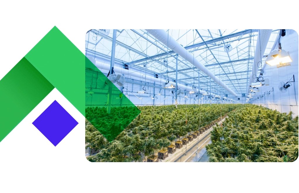 cannabis real estate financing