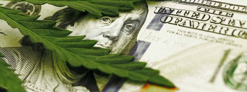 cannabis funding